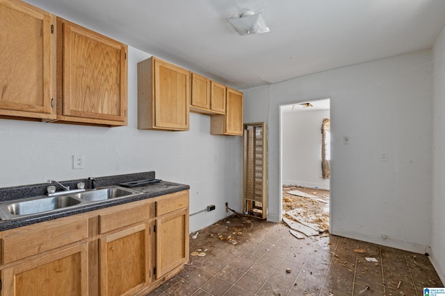 kitchen with sink