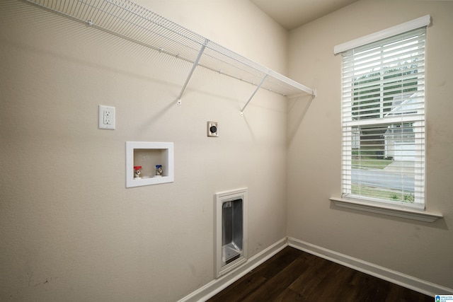 laundry room with hookup for an electric dryer, hookup for a washing machine, and dark wood-type flooring