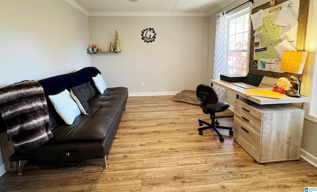 home office with crown molding and light hardwood / wood-style flooring