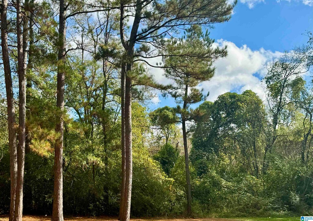0 College St Unit 0, Talladega, AL 35160