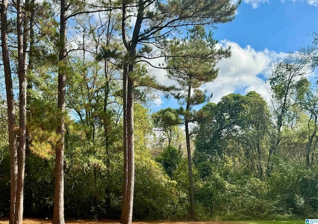 0 College St Unit 0, Talladega, AL 35160