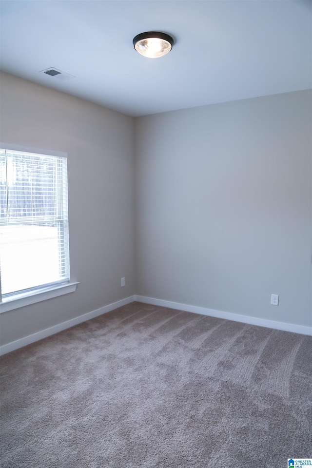 spare room with carpet floors