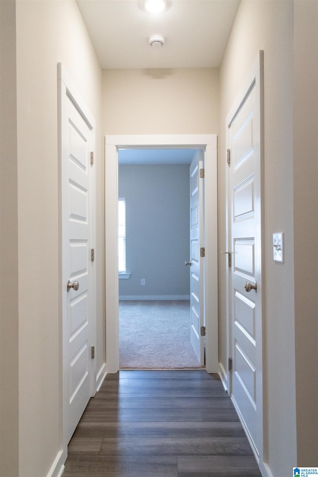 corridor with dark hardwood / wood-style flooring