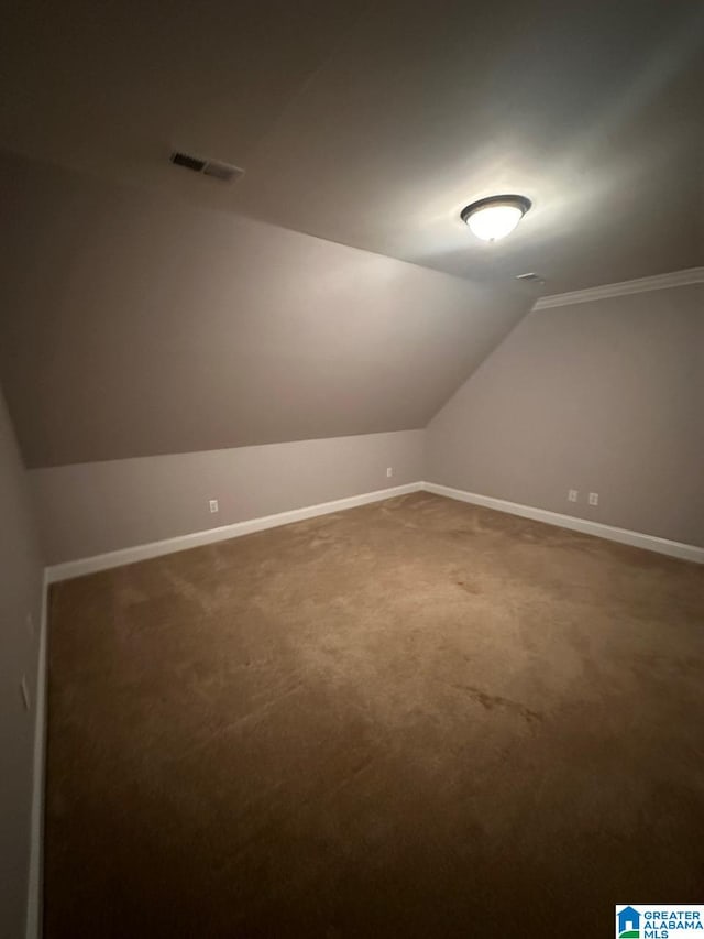 additional living space featuring carpet floors and vaulted ceiling