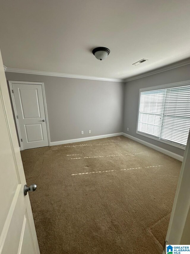 carpeted spare room with crown molding