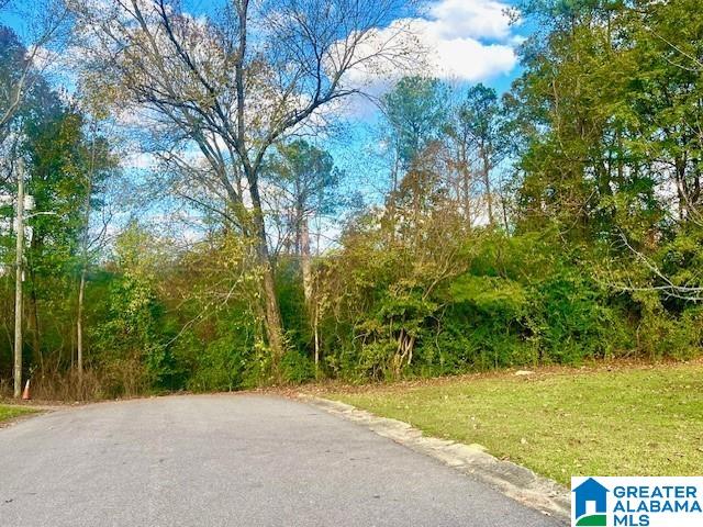 1411 Virginia Ave Unit 18, Fultondale AL, 35068 land for sale