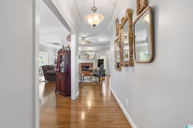 corridor featuring hardwood / wood-style floors and ornamental molding