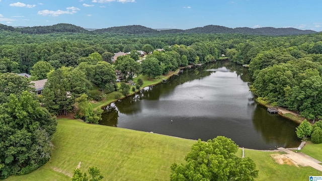 aerial view featuring a water and mountain view