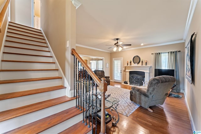 living room featuring hardwood / wood-style flooring, ceiling fan, and ornamental molding