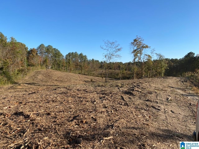 2011 Mccay Dr Lot 4, Morris, AL 35116
