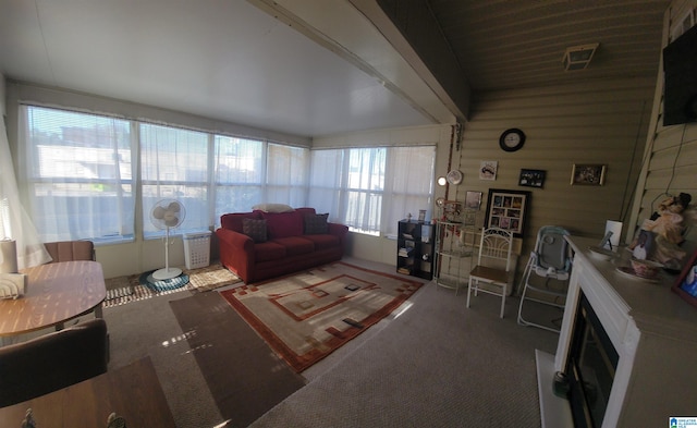 living room with carpet floors and a healthy amount of sunlight