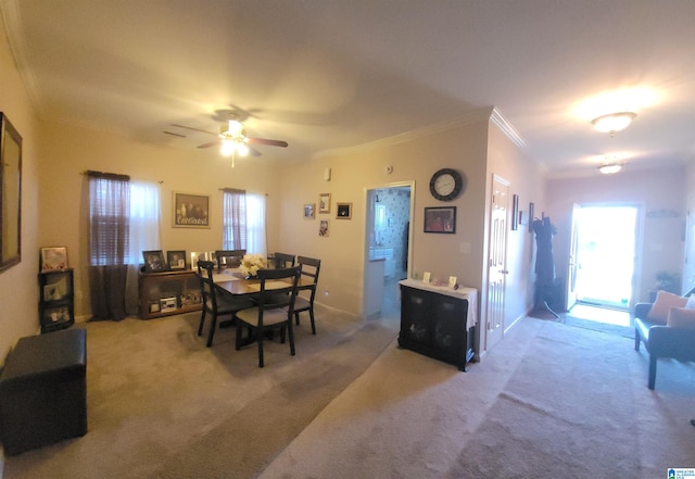 carpeted dining space featuring ceiling fan and ornamental molding