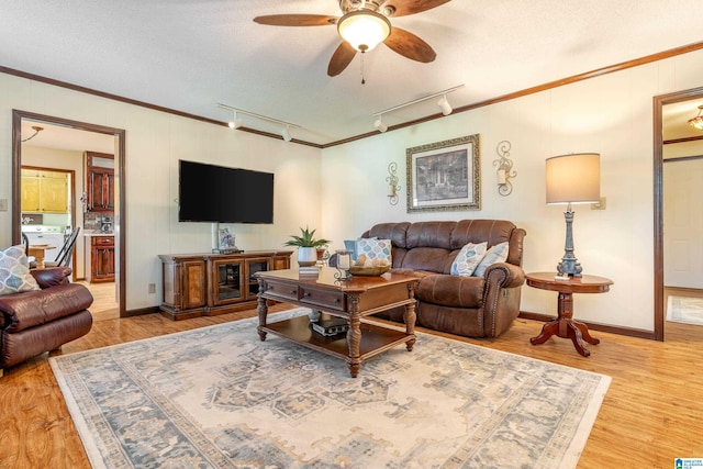 living room with ceiling fan, crown molding, wood-type flooring, a textured ceiling, and track lighting