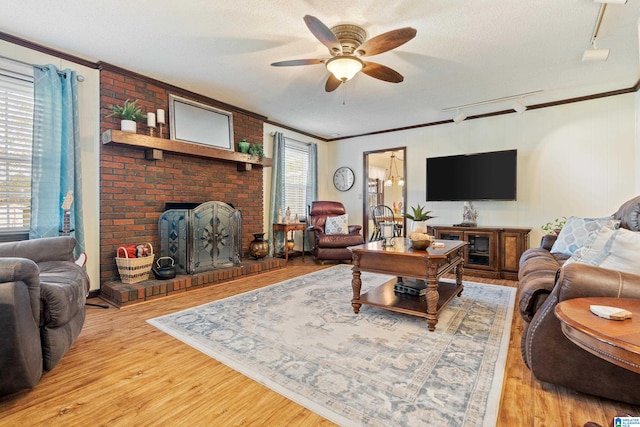 living room with hardwood / wood-style flooring, ceiling fan, a textured ceiling, and rail lighting