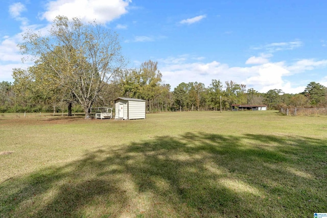 view of yard with a storage unit