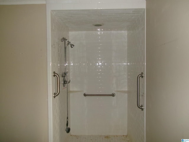 bathroom featuring a shower with shower door