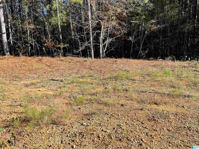 LOT221 Shore Side Ln Unit 221, Sylacauga, AL 35151