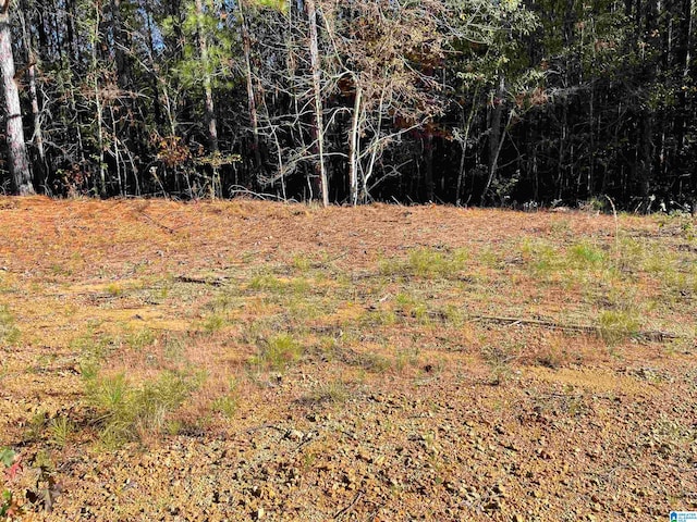 Listing photo 2 for LOT221 Shore Side Ln Unit 221, Sylacauga AL 35151