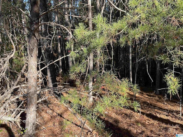 LOT221 Shore Side Ln Unit 221, Sylacauga, AL 35151