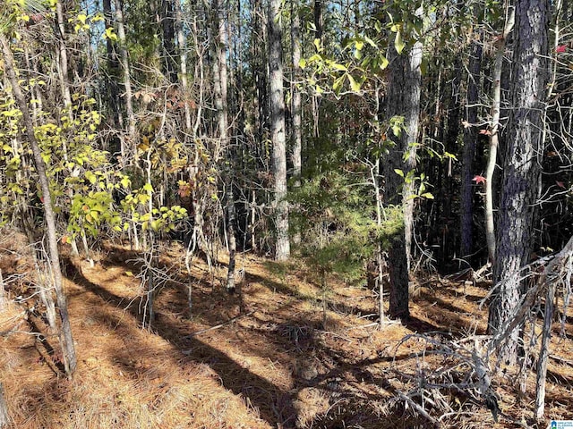 LOT221 Shore Side Ln Unit 221, Sylacauga, AL 35151