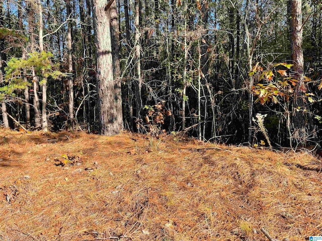 Listing photo 3 for LOT221 Shore Side Ln Unit 221, Sylacauga AL 35151