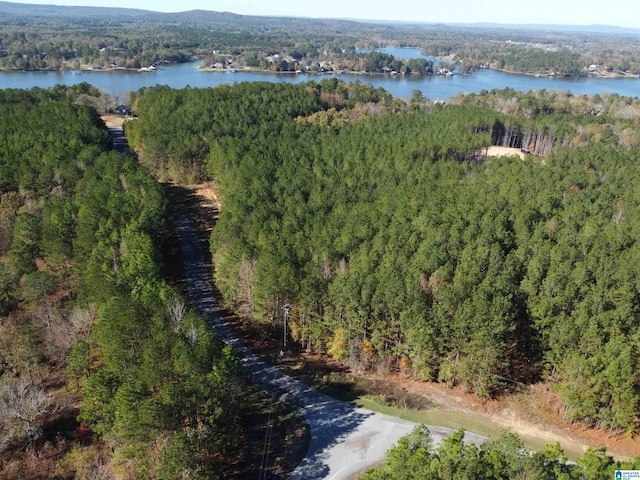 LOT221 Shore Side Ln Unit 221, Sylacauga, AL 35151