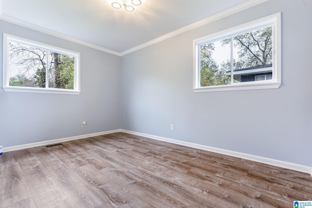 unfurnished room featuring light hardwood / wood-style floors and a wealth of natural light