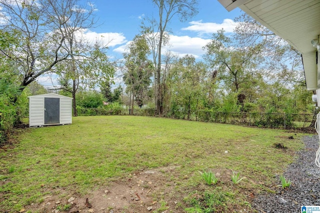 view of yard with a storage shed