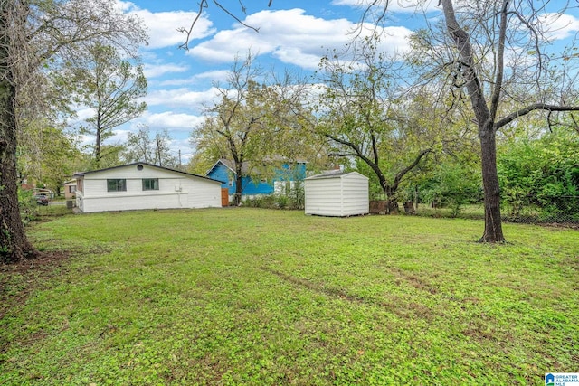 view of yard with a storage shed