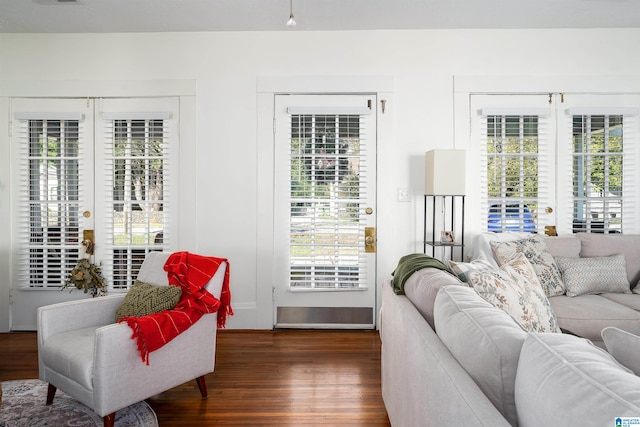 living room with dark hardwood / wood-style floors and a wealth of natural light