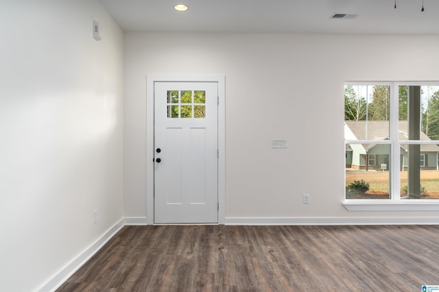 entryway featuring dark hardwood / wood-style floors and plenty of natural light