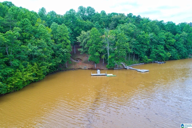 Listing photo 2 for LOT4 County Road 3130 Unit 4, Delta AL 36258