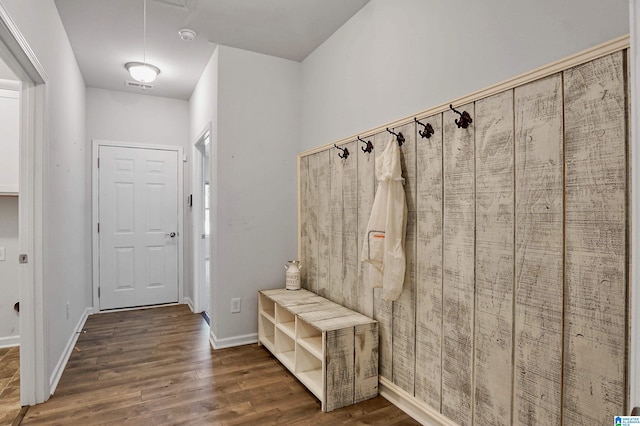 mudroom featuring dark hardwood / wood-style floors