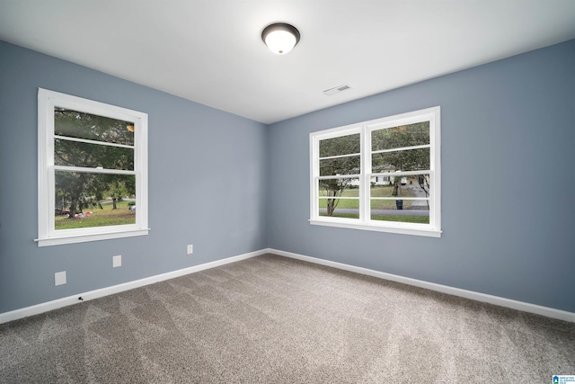 carpeted spare room featuring a wealth of natural light