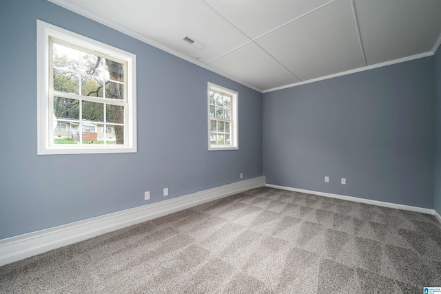 spare room with carpet floors, a healthy amount of sunlight, and ornamental molding