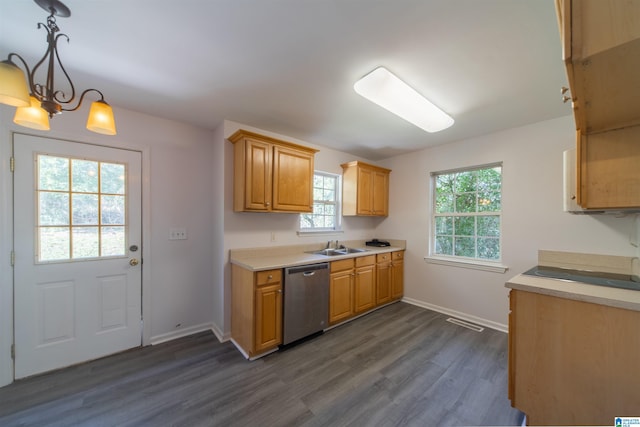 kitchen with dishwasher, pendant lighting, dark hardwood / wood-style flooring, and a healthy amount of sunlight