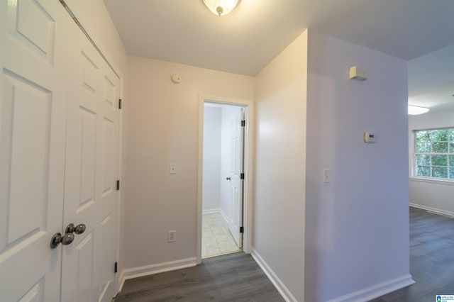 hallway featuring dark wood-type flooring