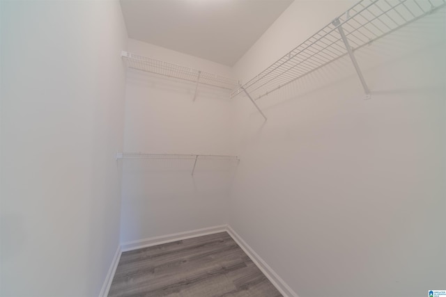 walk in closet with hardwood / wood-style floors