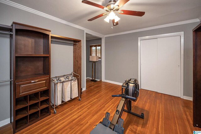 workout room featuring crown molding, ceiling fan, and wood-type flooring