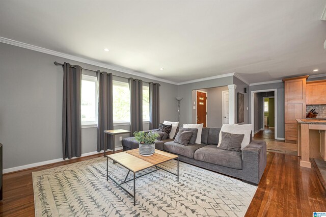 living room featuring crown molding and dark hardwood / wood-style floors