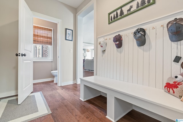 mudroom with dark wood-type flooring