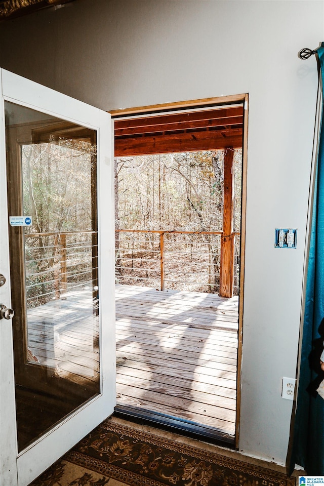 doorway with plenty of natural light