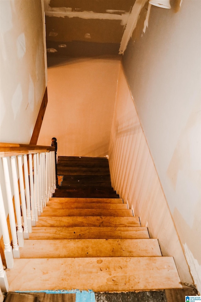 stairs with hardwood / wood-style floors