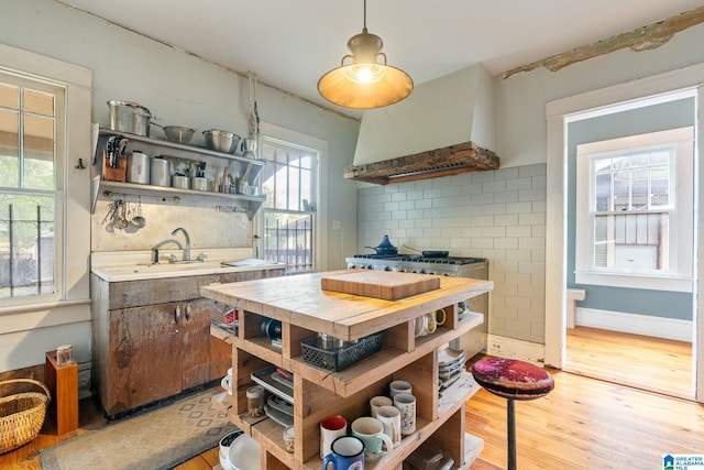 kitchen featuring light hardwood / wood-style floors, a healthy amount of sunlight, custom range hood, and backsplash