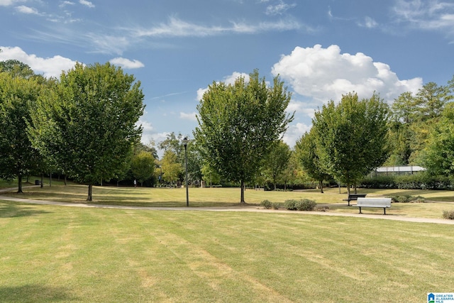 view of community featuring a yard