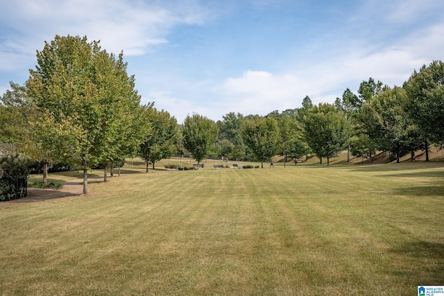 view of home's community with a rural view and a yard