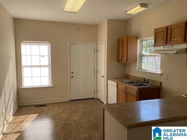 kitchen featuring dishwasher, sink, and a wealth of natural light