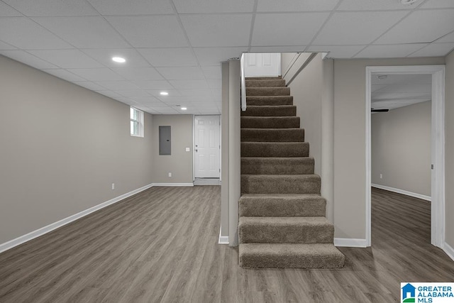 stairway featuring hardwood / wood-style floors, a paneled ceiling, and electric panel