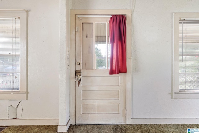 interior space with carpet floors