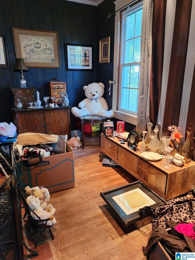 misc room with plenty of natural light and light hardwood / wood-style floors